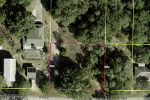 Tbd SW 106 Th St, Dunnellon, FL 34432 - Photo 1