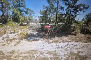 451 Black Bird Ln, Lake Placid, FL 33852 - Photo 1