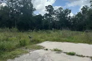 9935 Shadrack Ct, Orlando, FL 32817 - Photo 1