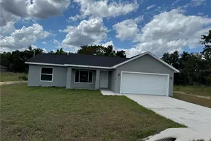 91 Maple Dr, Ocklawaha, FL 32179 - Photo 1