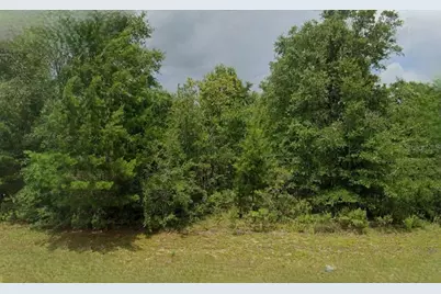 Lincoln Avenue, Alford, FL 32420 - Photo 1