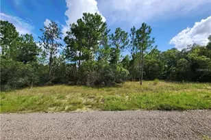 3504 W Seahorse Ln, Dunnellon, FL 34433 - Photo 1