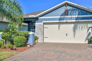 236 Caryota Ct, New Smyrna Beach, FL 32168 - Photo 1