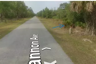 8186 N Shannon Ave, Crystal River, FL 34428 - Photo 1