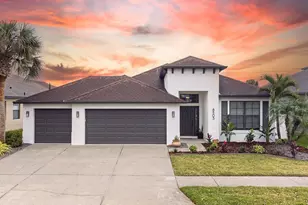 8503 White Poplar Dr, Riverview, FL 33578 - Photo 1