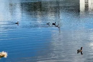 24383 Belize Ct, Punta Gorda, FL 33955 - Photo 1