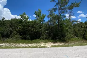 766 Arlene Dr, Deltona, FL 32725 - Photo 1