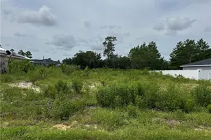 16166 SW 27th Terrace Rd, Ocala, FL 34473 - Photo 1