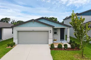 7133 Boggy Crk Pl, Parrish, FL 34219 - Photo 1