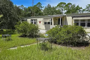 47429 East Ave, Paisley, FL 32767 - Photo 1