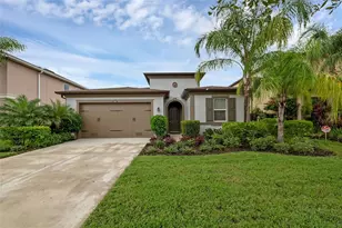 28883 Revaro Ln, Wesley Chapel, FL 33543 - Photo 1