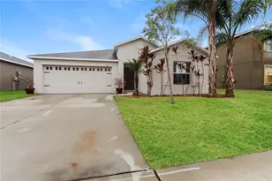 10121 Crested Fringe Dr, Riverview, FL 33578 - Photo 1