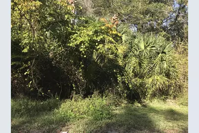Lot 14, Lake Panasoffkee, FL 33538 - Photo 1