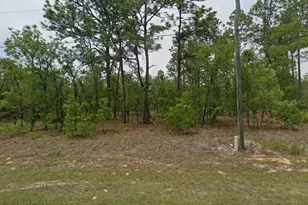 2409 W Newhope Ln, Dunnellon, FL 34434 - Photo 1