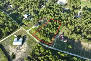 SW 131st Ave, Ocala, FL 34481 - Photo 1