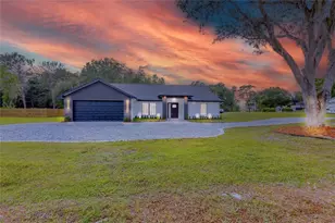 4025 Meadow Run Ln, Wesley Chapel, FL 33543 - Photo 1