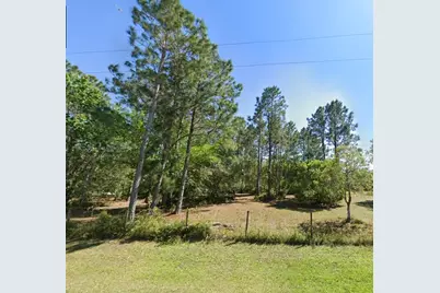 26300 Pheasant Run, Wesley Chapel, FL 33544 - Photo 1