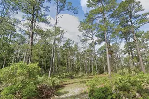 132 2nd Ave, Satsuma, FL 32189 - Photo 1