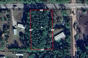 5265 Mahogany Blvd, Bunnell, FL 32110 - Photo 1