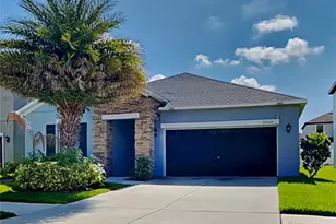 12310 Ballentrae Forest Dr, Riverview, FL 33579 - Photo 1