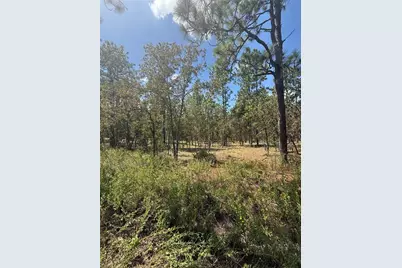 Nw Ridgewood Road, Dunnellon, FL 34431 - Photo 1
