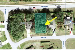 193 Conch Dr, Kissimmee, FL 34759 - Photo 1