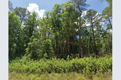 101 & 103 Longhorn Lane, Florahome, FL 32140 - Photo 1