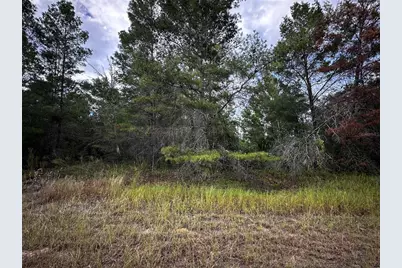 Lot 25 Fisher Run, Ocklawaha, FL 32179 - Photo 1