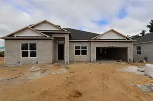 705 Pointe Emerson Blvd, Apopka, FL 32703 - Photo 1