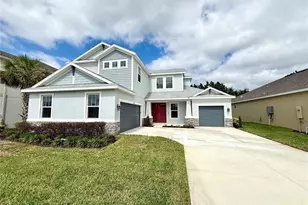 33346 Castaway Loop, Wesley Chapel, FL 33543 - Photo 1