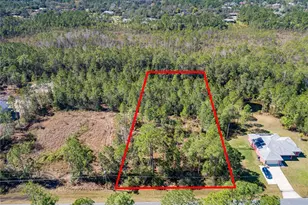 1730 Cassidy Dr, Saint Cloud, FL 34771 - Photo 1