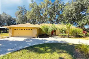 5901 Deer Flag Dr, Lakeland, FL 33811 - Photo 1
