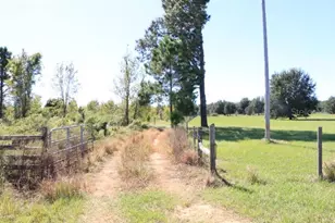 11307 Carter Island Rd, Groveland, FL 34736 - Photo 1