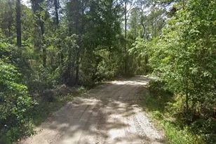135 Buckles Dr, Palatka, FL 32177 - Photo 1