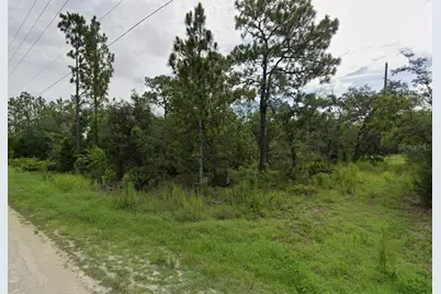 Goldfinch Road, Weeki Wachee, FL 34614 - Photo 1
