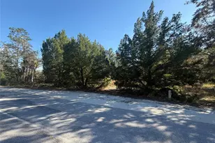 7360 W Chassahowitzka St, Homosassa, FL 34448 - Photo 1