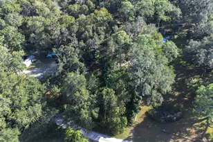 SE 120th Ln, Webster, FL 33597 - Photo 1