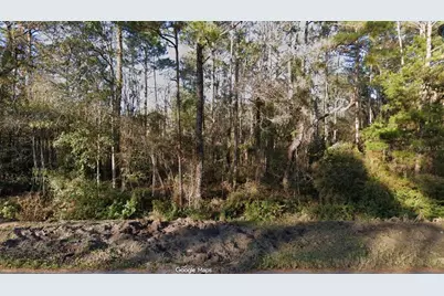 4220 Helena Street, Hastings, FL 32145 - Photo 1