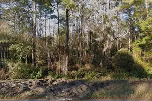 4220 Helena St, Hastings, FL 32145 - Photo 1