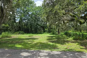 0 Dublin Rd, Ridge Manor, FL 33523 - Photo 1