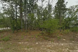 2044 W Riley Dr, Citrus Springs, FL 34434 - Photo 1