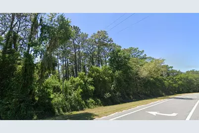 Se 17th Lane, Ocklawaha, FL 32179 - Photo 1