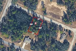 9720 W Calla Lily Dr, Dunnellon, FL 34433 - Photo 1