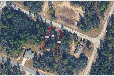 9714 W Calla Lily Drive, Dunnellon, FL 34433 - Photo 1