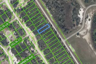 961 County Rd 29, Lake Placid, FL 33852 - Photo 1