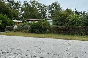 1300 Morningside St, Mount Dora, FL 32757 - Photo 1