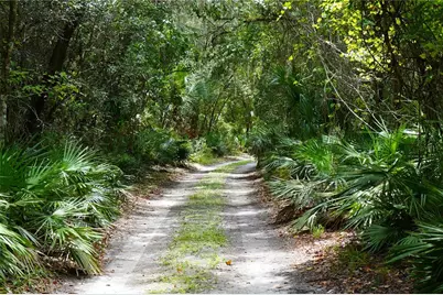 2288 Enterprise Osteen Road, Deltona, FL 32738 - Photo 1