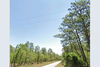 Summerfield Avenue, Dunnellon, FL 34431 - Photo 1