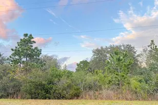 00 Robertson St, Orlando, FL 32833 - Photo 1