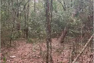 Virginia Rd, Altoona, FL 32702 - Photo 1